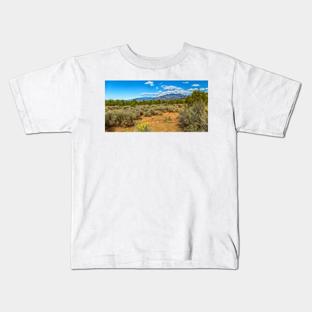 Kit Carson National Forest Kids T-Shirt by Gestalt Imagery